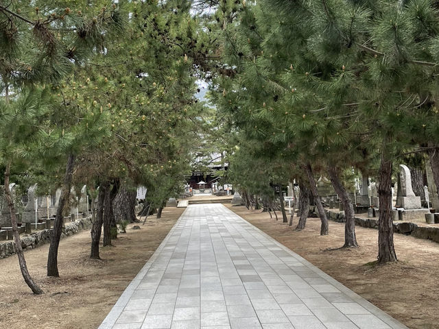 【香川】静けさの漂う歴史ある寺院・讃岐国分寺