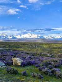 Chuanxi: Where Tibetan Culture and Nature Meet in Harmony