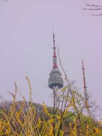 NAMSAN TOWER |  N. SEOUL TOWER  |  남산서울타워