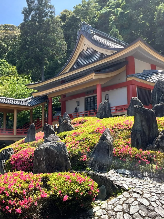 Azaleas in Full Bloom at Matsunoo-taisha Shrine