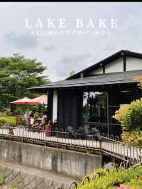 【山梨県】富士山とネモフィラを巡る絶景ドライブコース