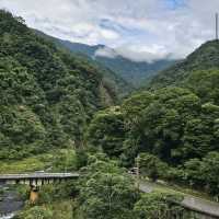 五峰清泉天主堂附近賞櫻區