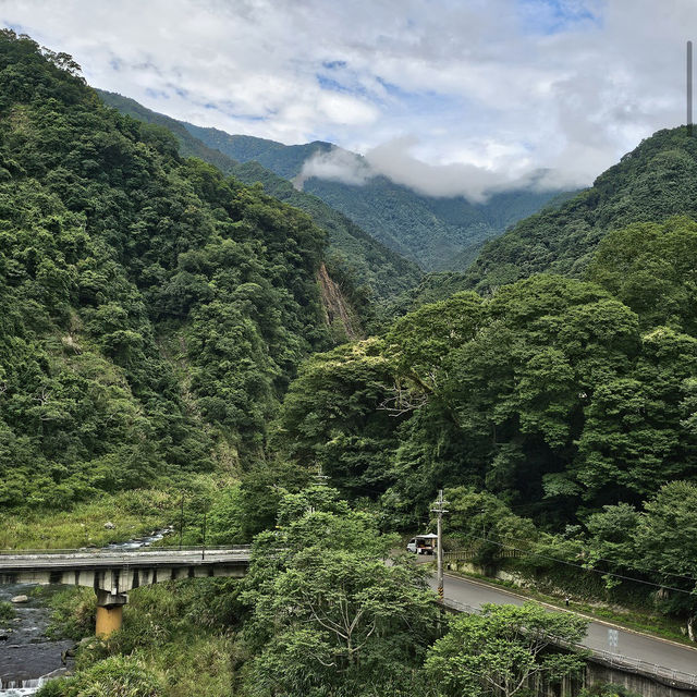 五峰清泉天主堂附近賞櫻區