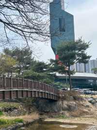 자연 속 힐링 산책, 청주 명암유원지에서 보내는 여유로운 하루🌿☀️