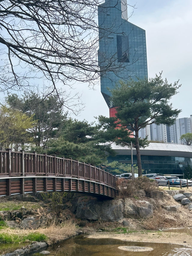 자연 속 힐링 산책, 청주 명암유원지에서 보내는 여유로운 하루🌿☀️
