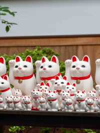 福を呼び込む春のひととき！豪徳寺スナップ🐾🌸