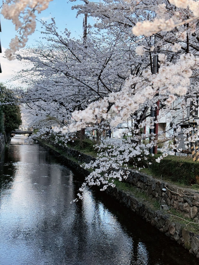 儚くも美しい京都へ
