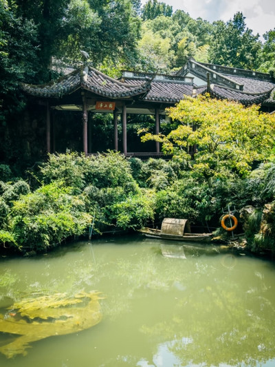 Чудо-дерево(不思議な木)

幼児用絵本　洋書 Huanglong Cave– Hangzhou's Hidden Daoist Oasis | Trip.com