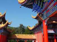 A Moment of Stillness at Guanyin Temple