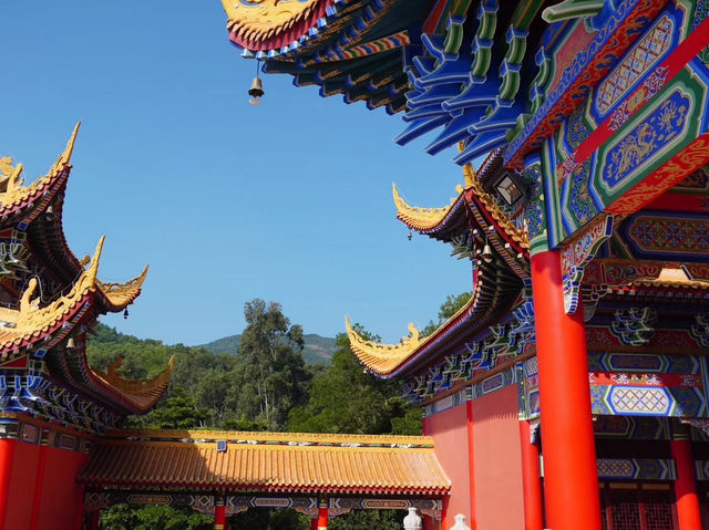 A Moment of Stillness at Guanyin Temple