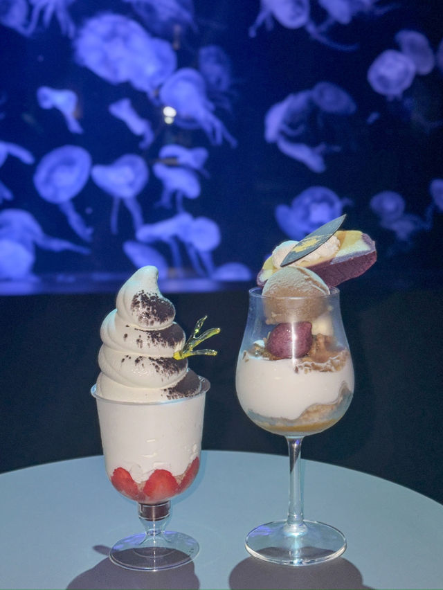 【北海道】水族館内の映えカフェ