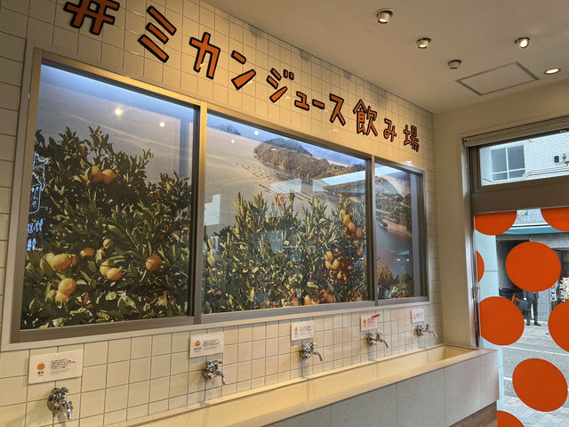 【ホテル椿館に泊まって、松山・道後のレトロ旅を満喫】