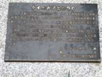 【千葉】あけぼの山農業公園でお花見