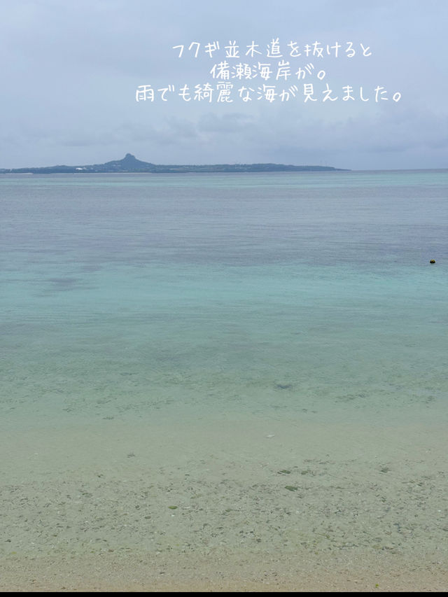 雨の沖縄の過ごし方