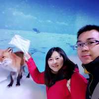 來鄂霍次克流冰館甩毛巾，毛巾真的會硬掉喔