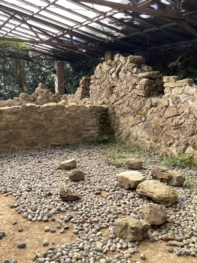 新店第一高峰-獅仔頭山｜古道遺跡探險路線推薦！
