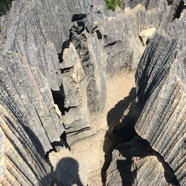 走進另一個世界｜Tsingy De Bemaraha National Park