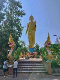วัด คำชะโนด วังนาคินทร์