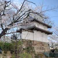 Takasaki Castle Ruins Park, Gunma