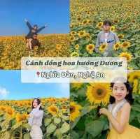 Du lịch NGHỆ AN