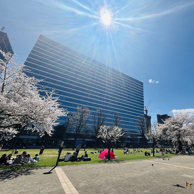 I Couldn’t Believe This Was in Tokyo… Until I Took a Spring Stroll Through Nakano Central Park!