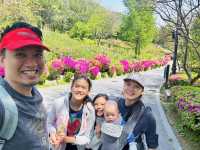 Hike Through The Magic of Hanyangdoseong