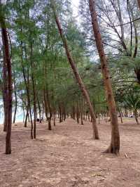 Terengganu beach stole my heart : Pantai Batu Buruk