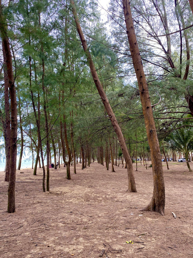 Terengganu beach stole my heart : Pantai Batu Buruk