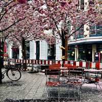 A Day in Speicherstadt: Exploring Hamburg’s Historic Warehouse District