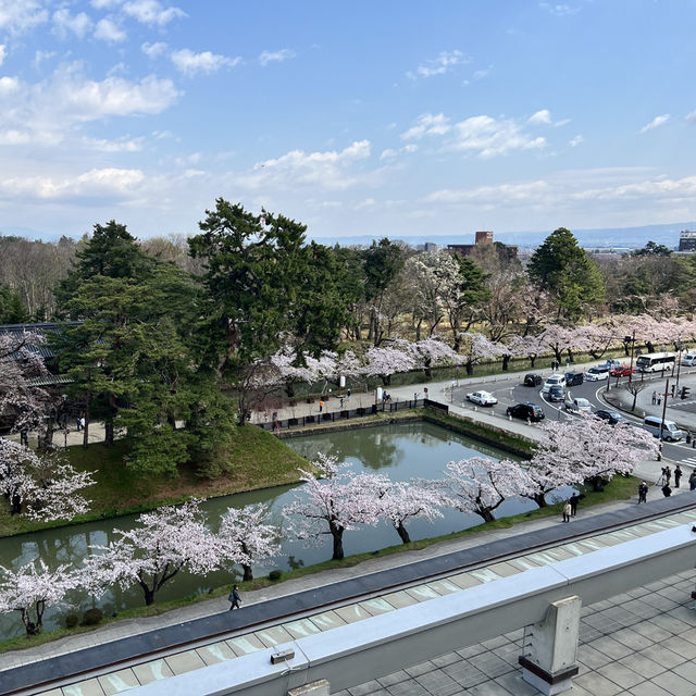 走吧！赴一場粉色之約🌸