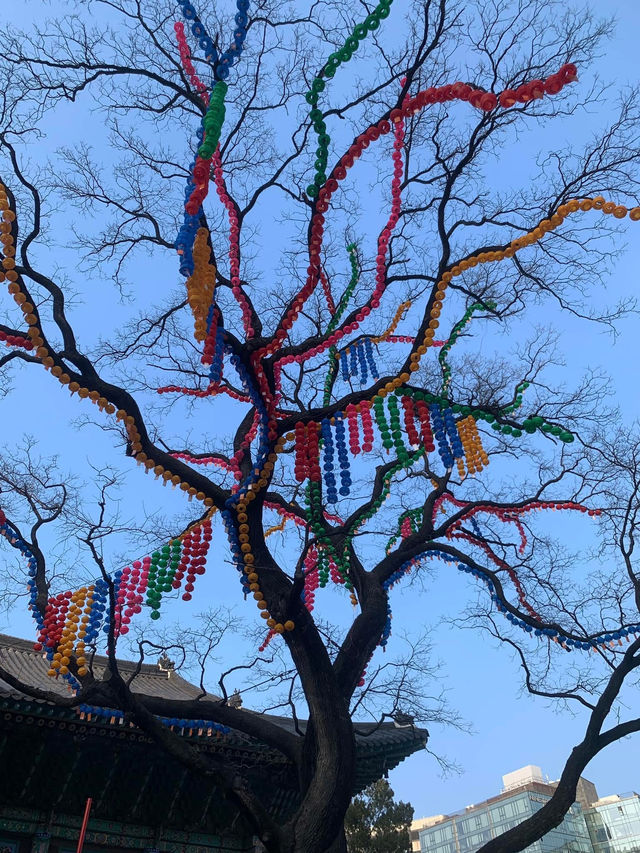 ✨💕Beautiful Jogyesa Temple✨💕Must Visit! 