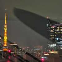 [東京]夜景が綺麗な席で記念日ディナー[オザミトーキョー 丸の内]