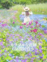 GWここにいこう！花畑【神奈川】