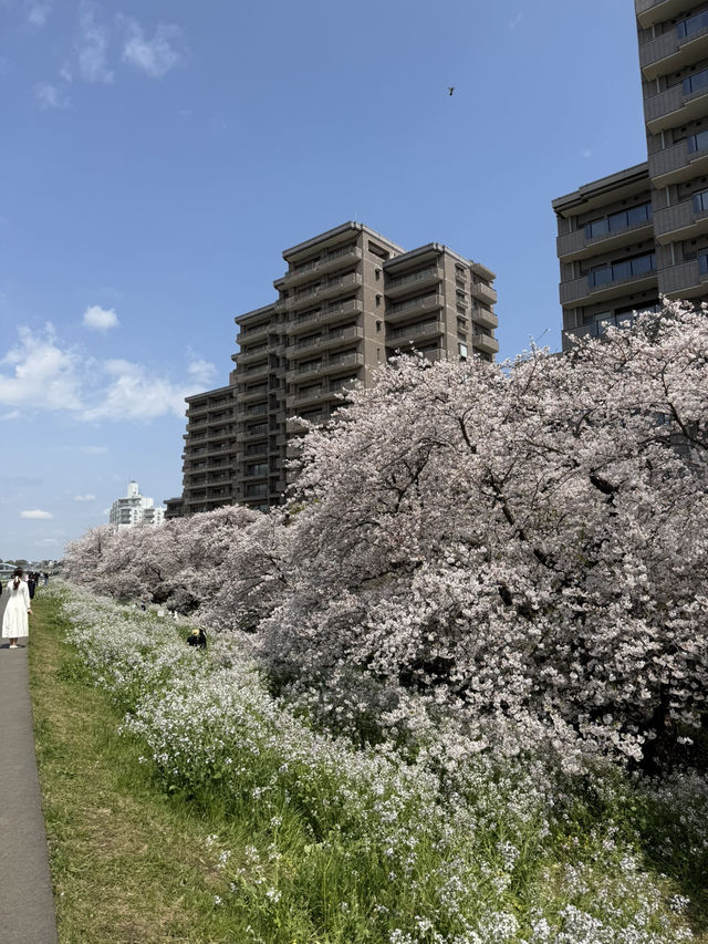 📍多摩川ガス橋緑地/東京