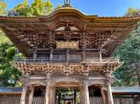 報恩寺で歴史に触れ、心を整える🕊️
