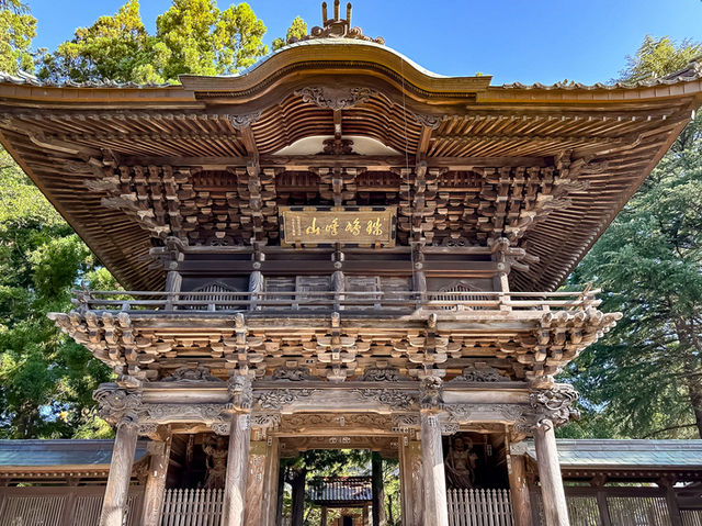 報恩寺で歴史に触れ、心を整える🕊️