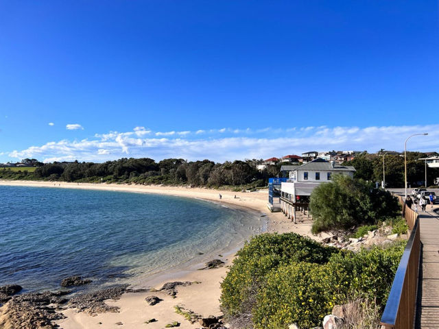 🏖️🌊 Brisbane Beach Getaway: Sand, Sun & Secret Spots