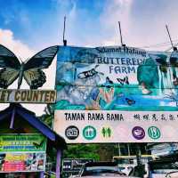 Cameron Highlands Butterfly Farm: A Colourful Nature Experience