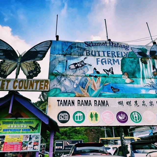 Cameron Highlands Butterfly Farm: A Colourful Nature Experience