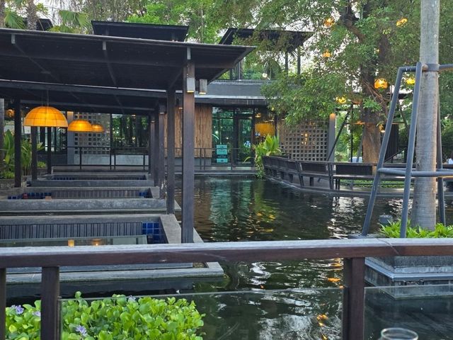 ร้านนั่งชิว ร่มไม้ใหญ่ แพร่ บรรยากาศดีเวอร์