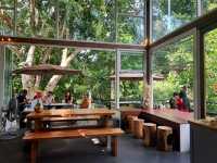 บ้านในหมง treehouse ระนอง