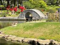 Shukkeien Garden: A Timeless Haven in Hiroshima