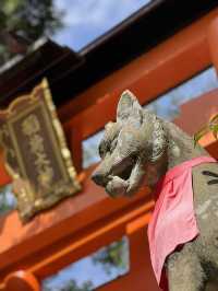 Fushimi Inari Taisha: Kyoto’s Thousand Torii Gates of Spiritual Wonder