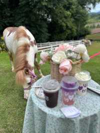 Floryday Khaoyai : Café & Flower