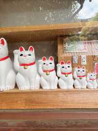 東京六日遊5/4第五天豪德寺喵喵廟