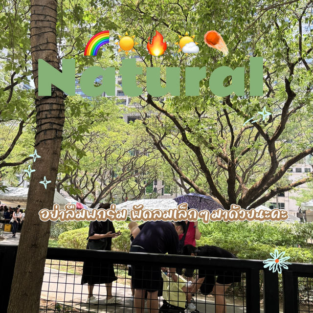 ✨🇵🇭🥐🌳แนะนำตลาดนัดในสวน ที่ Philippines 🌈