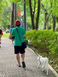 Legazpi Active Park: A Green Escape in the Heart of Makati