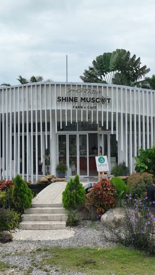 SHINE MUSCAT Farm & Cafe