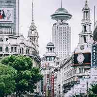 Shanghai – Blossoms and Skylines in Perfect Harmony