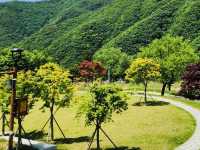 A Trip to Janggye Tourist Site in Okcheon, Near Daejeon